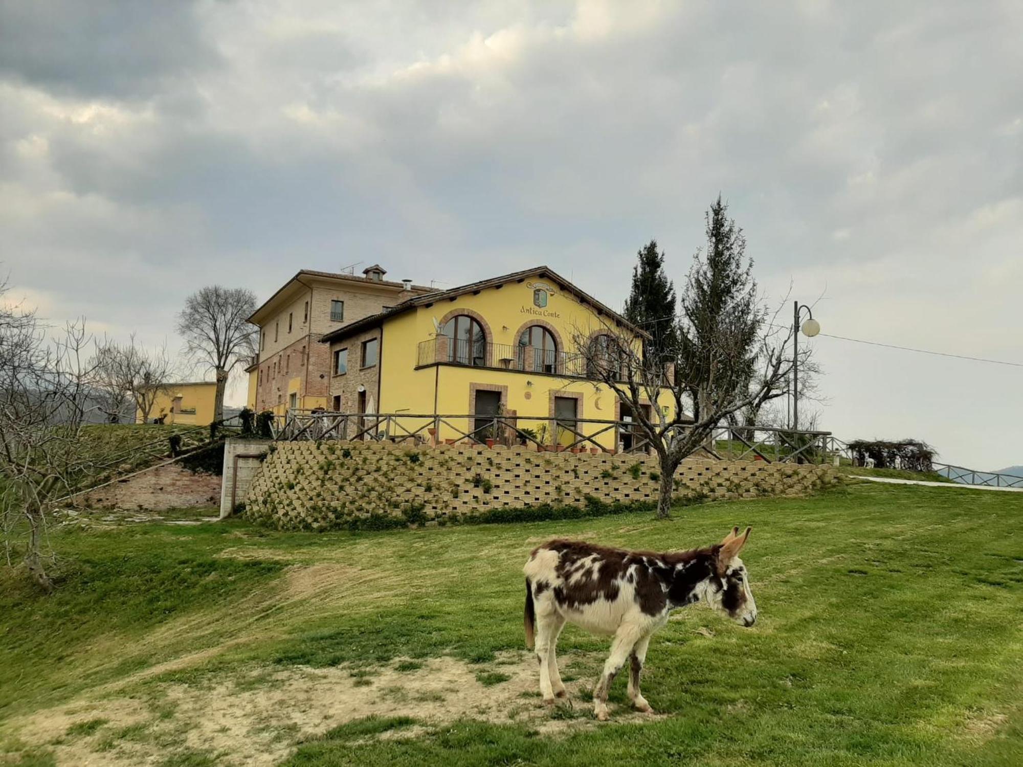Agriturismo Antica Corte Montatteglia ภายนอก รูปภาพ